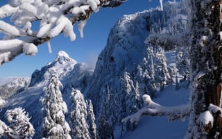Картинка North Shore Mountains, зима, Британская Колумбия, горы, деревья, горы Норт-Шор, Vancouver, Канада, British Columbia, Ванкувер, Canada
