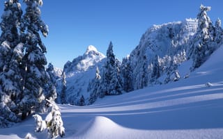 Обои North Shore Mountains, деревья, зима, Британская Колумбия, ели, Канада, Canada, горы Норт-Шор, Ванкувер, снег, сугробы, British Columbia, горы, Vancouver