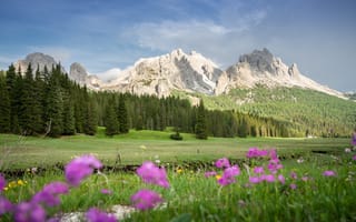 Картинка Природа, Альпы, Горы, Трава, Луга, Италия, Пейзаж, Dolomites