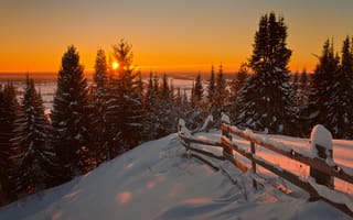 Картинка Winter, Firs, Sunrise, Nature, Sun, Snow, Landscape