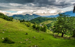 Картинка Румыния, горы, зелень, поля, облака, трава, деревья, Brasov, луга
