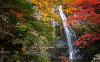 Картинка осень, деревья, Водопад Миноо, водопад, Япония, Minoo Waterfall, Minoh Falls, Japan, Osaka, Meiji no Mori Mino Quasi-National Park, скала, Осака, парк