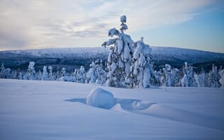 Картинка Lapland, панорама, сугробы, зима, снег, деревья, Finland, Лапландия, Финляндия, лес