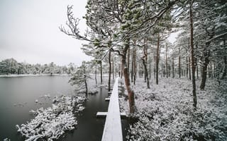 Картинка зима, река, природа