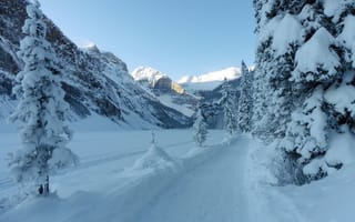 Картинка зима, дорога, Banff National Park, деревья, Rocky Mountains, Alberta, Канада, горы, Canada, Национальный парк Банф, снег, ели, Скалистые горы, Альберта