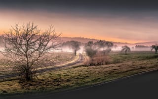 Картинка дорога, туман, поле