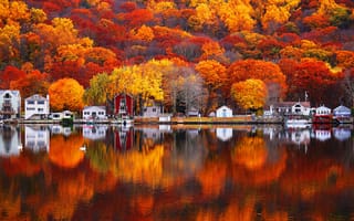 Картинка озеро, природа, отражение, краски, дома, деревья, осень, склон, листья