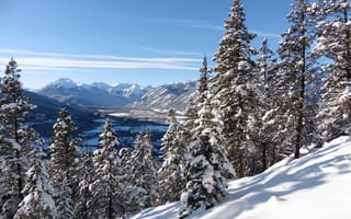 Картинка зима, снег, Canada, Канада, ели, Alberta, Rocky Mountains, Национальный парк Банф, горы, Tunnel Mountain Village, долина, Альберта, Скалистые горы, Banff National Park, деревья