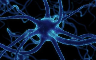 Картинка нейрон, сеть, синапсы