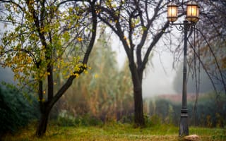 Картинка деревья, фонари, боке, парк, туман