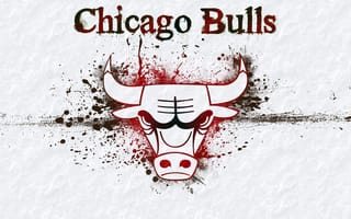 Картинка Chicago Bulls, бык, лого, Logo, нба, логотип, NBA, чикаго буллз, Basketball, баскетбол