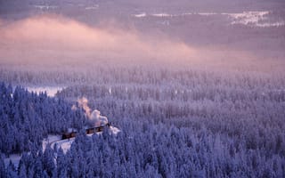 Картинка Саксония-Анхальт, Германия, зима, лес, дорога, поезд