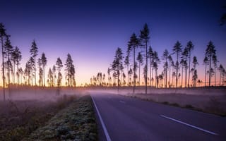 Картинка дорога, туман, природа