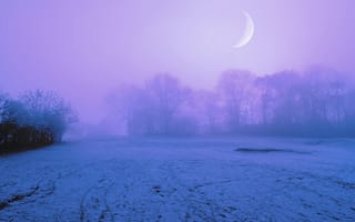 Картинка снег, Зима, луна, ночь, поляна, небо, туман, сиреневое, деревья