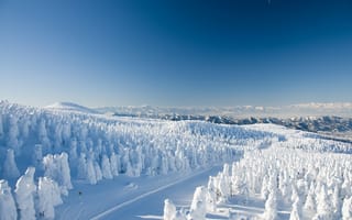 Картинка Yamagata Zao Onsen Ski Resort, Ямагата, Yamagata, дорога, Japan, снег, Япония, зима, деревья, лес, горы