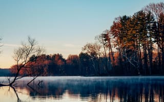 Картинка озеро, гладь, деревья, туман, поздняя осень, утро, лес