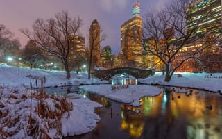 Картинка Соединенные Штаты, ночь, фонарные столбы, небоскребы, ветки, зеркало, снег, зима, утки, Gapstow Bridge, отражение, Центральный парк, деревья, озеро, Нью-Йорк