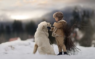 Картинка зима, мальчик, собака