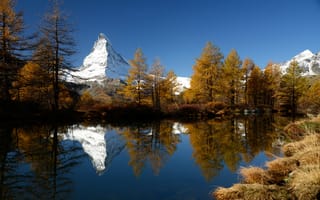 Картинка деревья, горы, отражение, Grindjisee, Швейцария, озеро, вершины