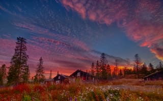 Картинка осень, травы, рассвет, Jørn Allan Pedersen, утро, пейзаж, дома, деревья, природа