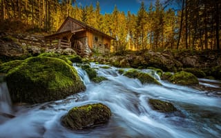 Картинка осень, деревья, река, мох, камни, Австрия, водяная мельница