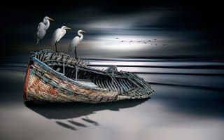 Картинка fine art, лодка, птицы