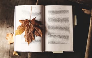 Картинка Autumn, Mood, Text, Book