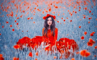 Картинка поле, цветы, венок, девушка, Кристина Макеева, маки, красное платье