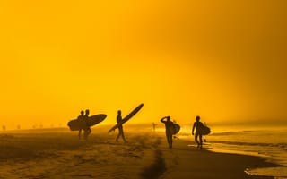 Картинка серферов, пляж, волны, лето, доски для серфинга, экстремальный спорт, солнечный