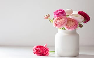 Картинка белый, букет, ваза, лютики