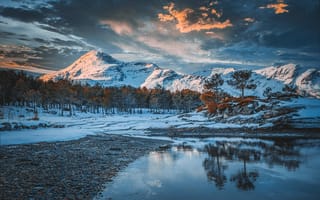 Картинка зима, Тодор Божков, деревья, горы, вода, снег, Норвегия