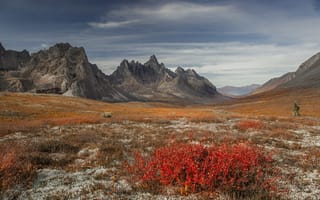 Картинка осень, горы, растительность, природа, долина, пейзаж, Канада, Юкон