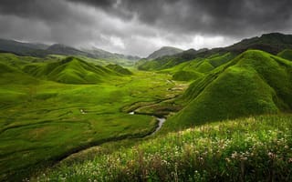 Картинка Green Dzukou, природа, трава, Индия, река, цветы, граница между штатами Нагаленд и Манипур, горы, тучи
