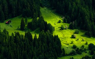 Картинка Швейцария, гора, зелень, трава, деревья, склон, домики, луг