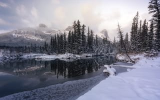 Картинка зима, река, лес