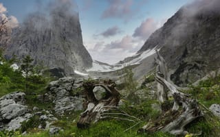 Картинка трава, горы, Альпы, коряги, камни, Австрия