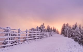 Картинка Brasov, Румыния, закат, дорога, забор, снег, Romania, Брашов, зима, деревья