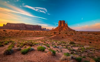 Картинка песок, небо, скалы, США, горы, пустыня, кустарник, синева