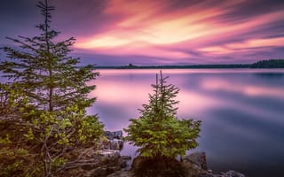 Картинка деревья, США, камни, национальный парк, ёлочки, Acadia National Park, природа, пейзаж, Bar Harbor, Акадия, закат, озеро