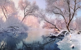 Картинка зима, пейзаж, приода