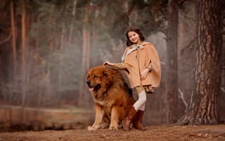 Картинка девочка, пёс, прогулка, тибетский мастиф, лес, Валентина Ермилова, собака, друзья