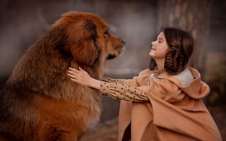 Обои собака, друзья, пёс, Валентина Ермилова, девочка, тибетский мастиф