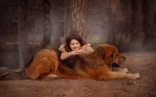 Картинка лес, друзья, девочка, тибетский мастиф, пёс, собака, Валентина Ермилова