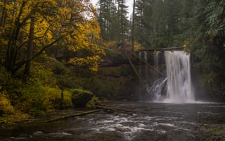 Картинка осень, лес, Silver Falls State Park, река, Oregon, Орегон, водопад, Upper North Falls