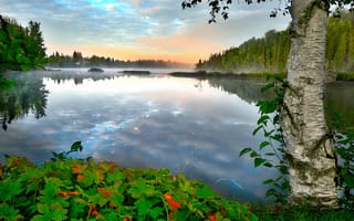 Картинка осень, деревья, озеро, утро, туман, Канада, Квебек, леса, природа, берега, пейзаж, Alain Audet