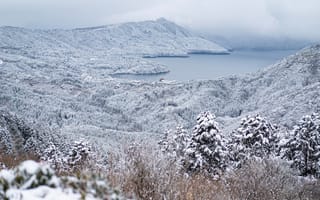 Картинка зима, лес, Озеро Аси, Lake Ashi, горы, Япония, Hakone, Хаконе, Japan, озеро, деревья