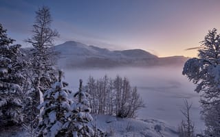 Картинка зима, снег, горы, Norway, деревья, Мёре-ог-Ромсдал, озеро, Норвегия, Møre og Romsdal, Nysætervatnet