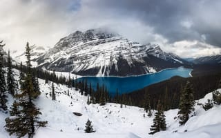 Картинка зима, лес, скалы, облака, снег, отражение, горы, озеро