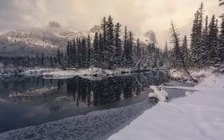 Картинка зима, лес, озеро, снег, горы, облака, отражение, берег