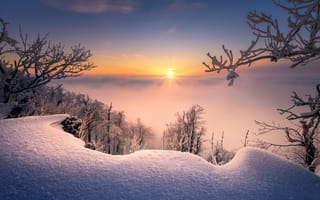 Картинка зима, снег, утро, Словакия, рассвет, восход, Малые Карпаты, ветки, деревья, Radoslav Cernicky, сугробы